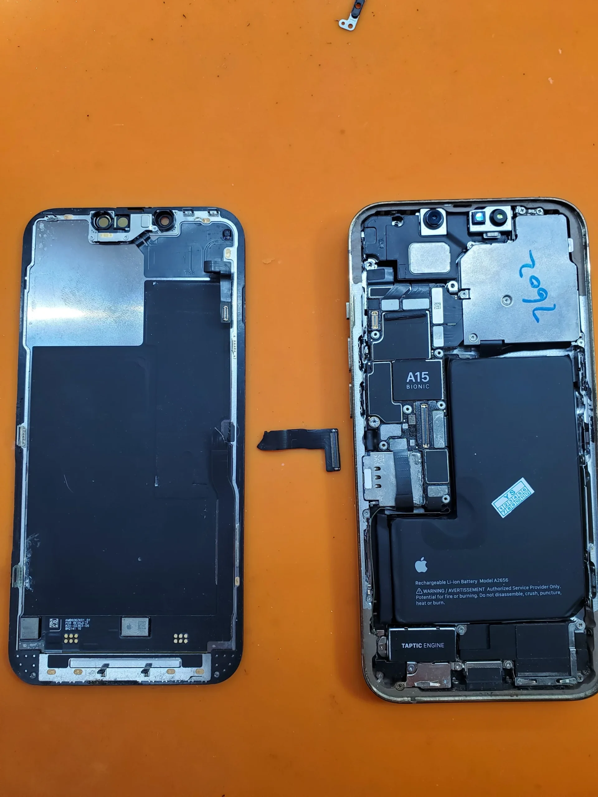 urwana taśma wyświetlacza iPhone